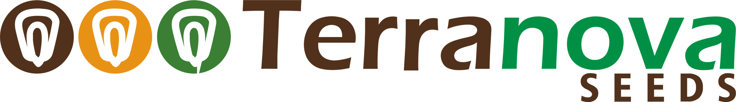 Terranova